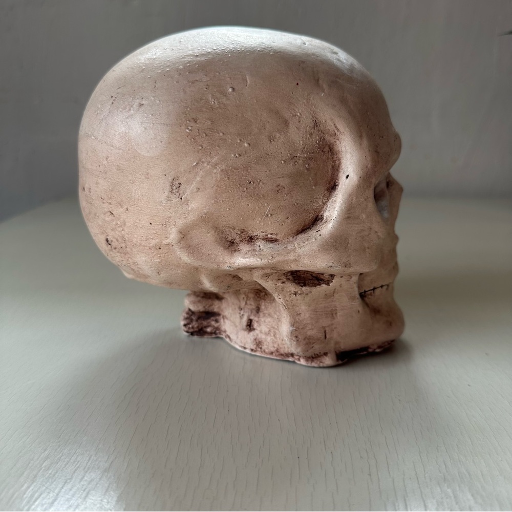 Memento Mori Ceramic Skull - Gothic Home Decor Goth Dark - Picture 4 of 9